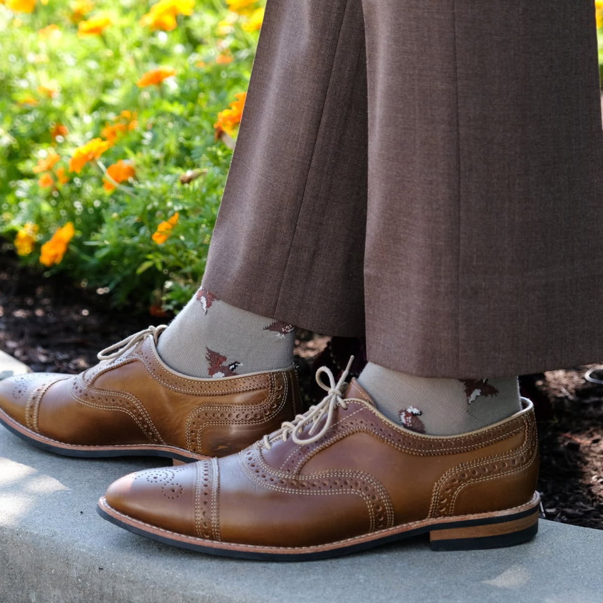 Taupe with Quails Fine Merino Wool Over-the-Calf Sock