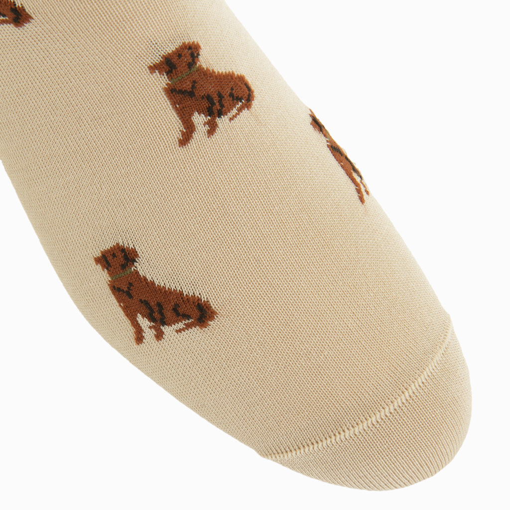 Tan with Whiskey Brown &amp; Green Collar Retriever Dog Cotton Mid-Calf Sock