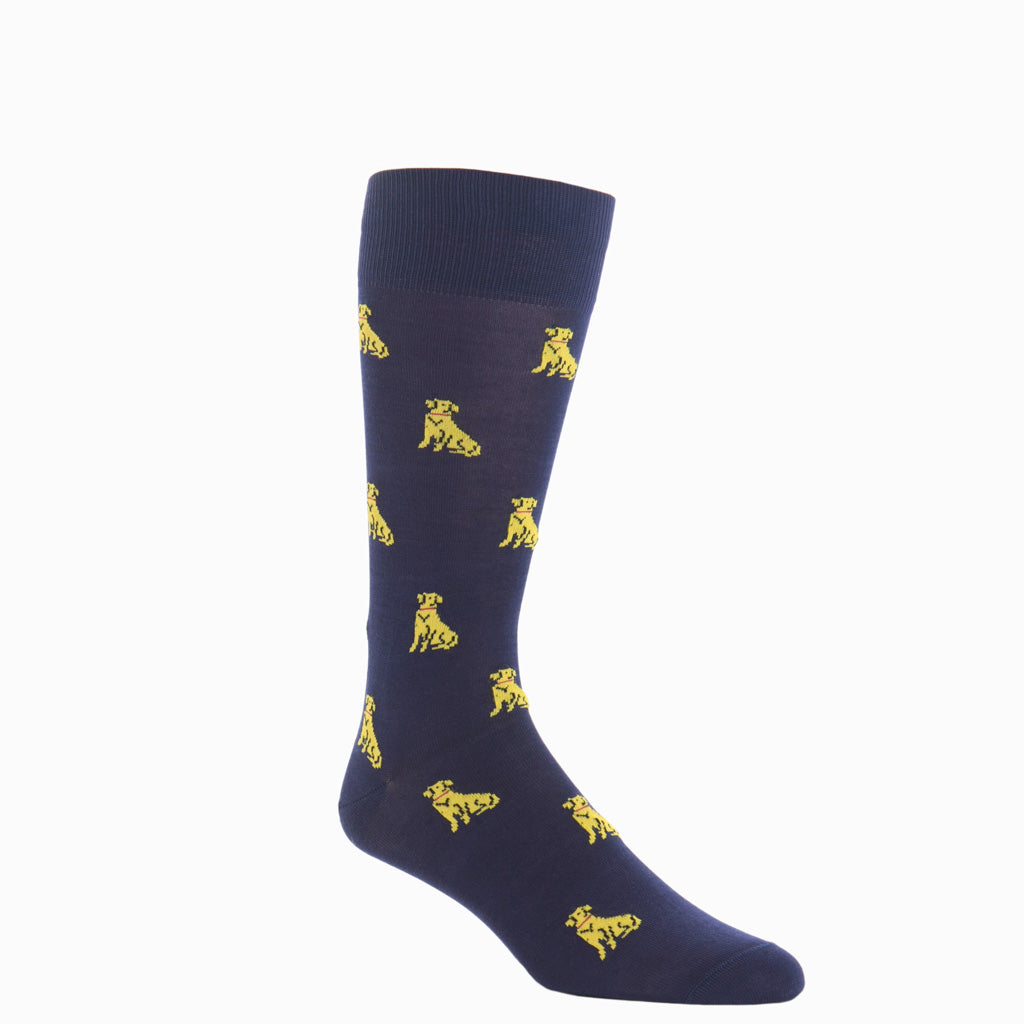 Classic Navy with Saffron &amp; Red Collar Retriever Dog Cotton Over-the-Calf Sock