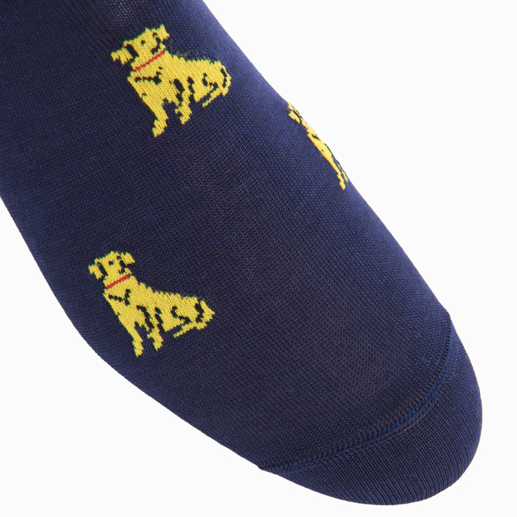 Classic Navy with Saffron &amp; Red Collar Retriever Dog Cotton Mid-Calf Sock