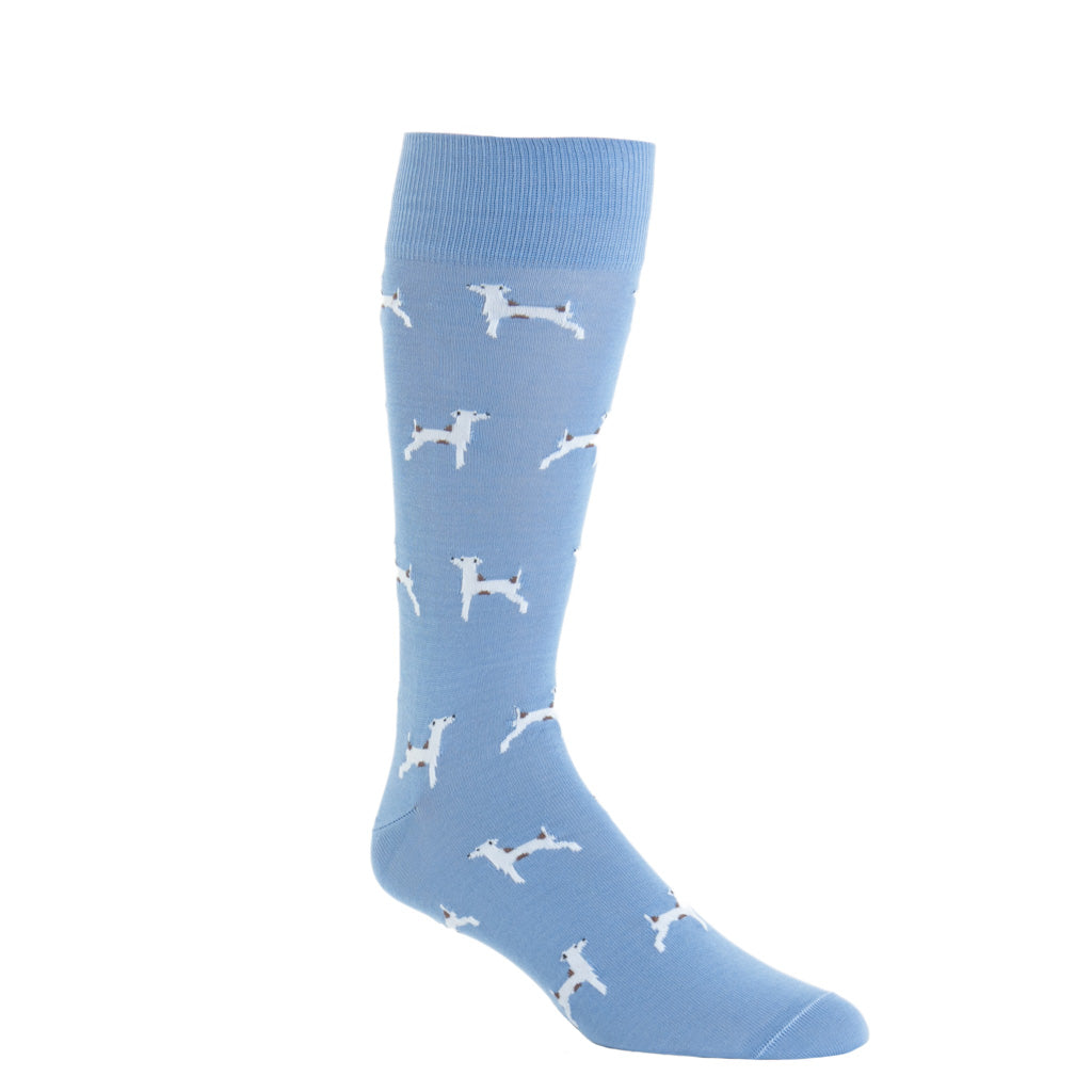 Blue-White-Sock